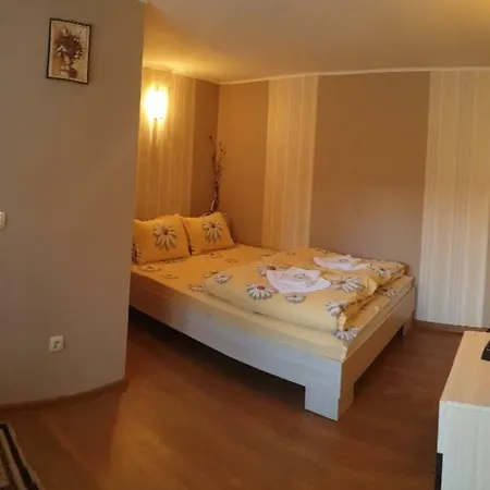 Къща Шипочинов Guest house